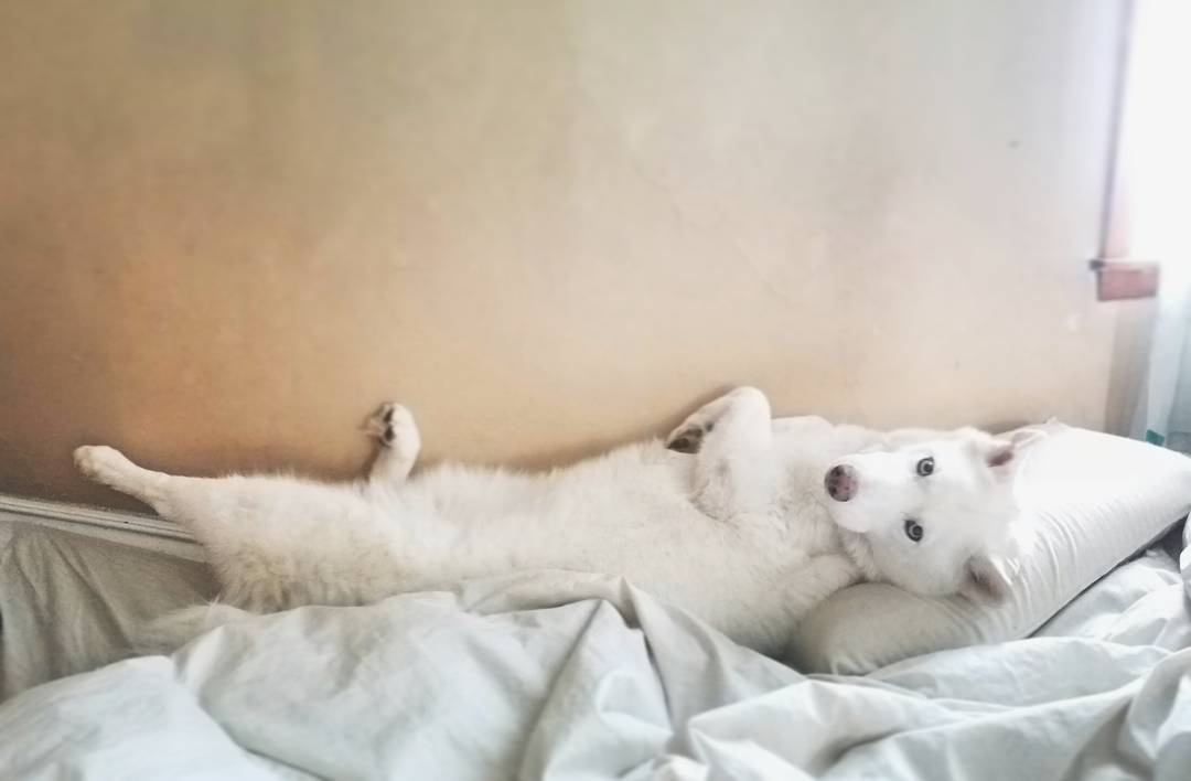 Yuki's morning stretch